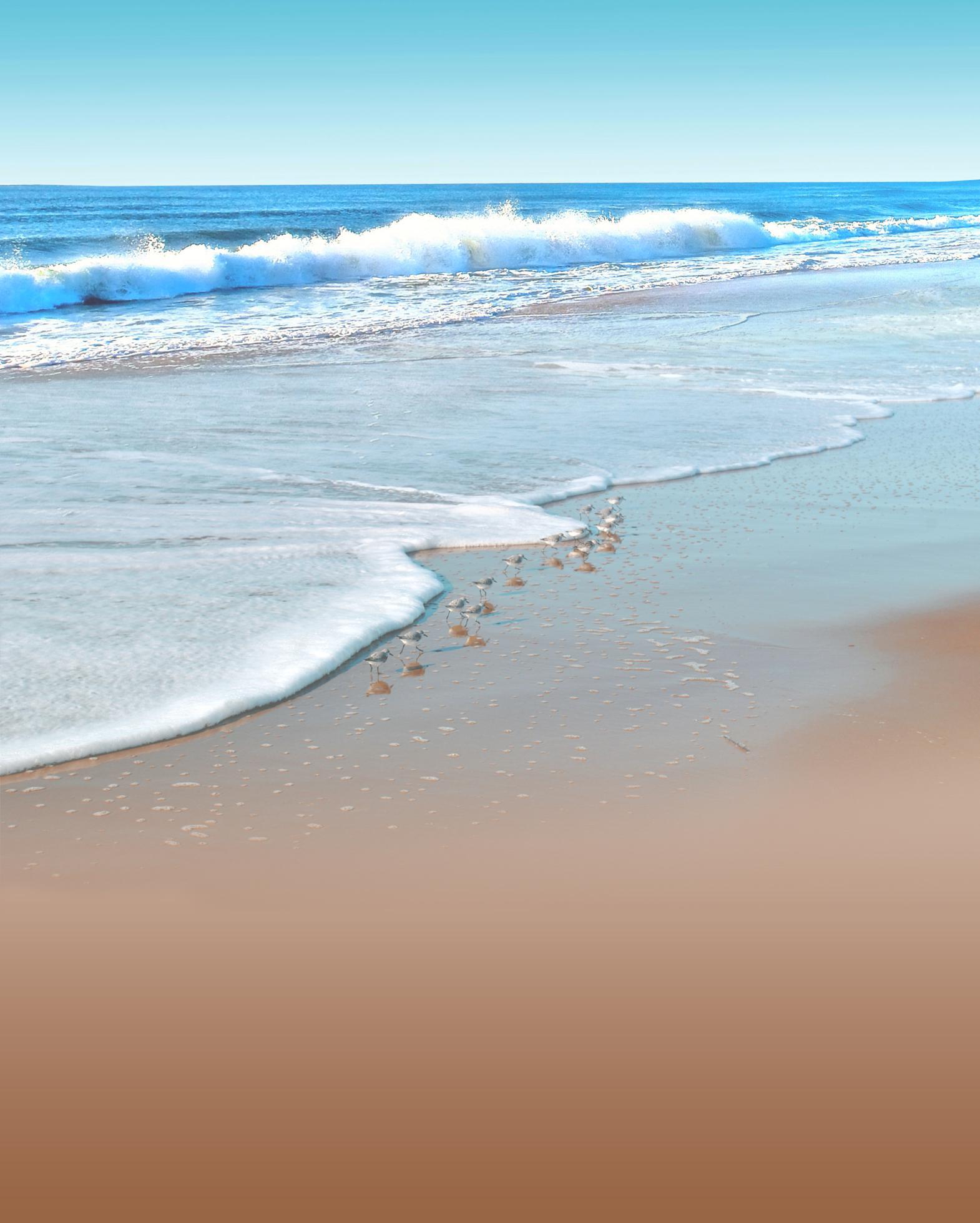 Siebert Realty Background