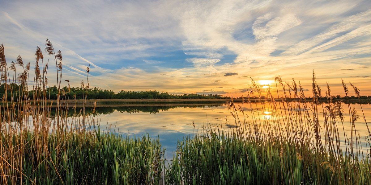 Best Walking Trails in Sandbridge and Nearby