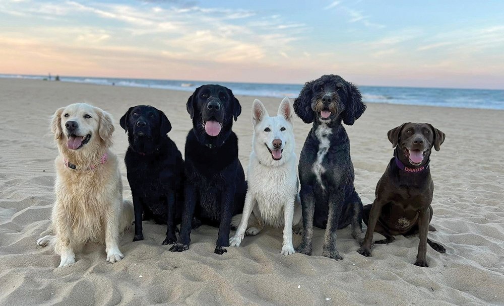 Sandbridge Welcomes Your Fur-Babies