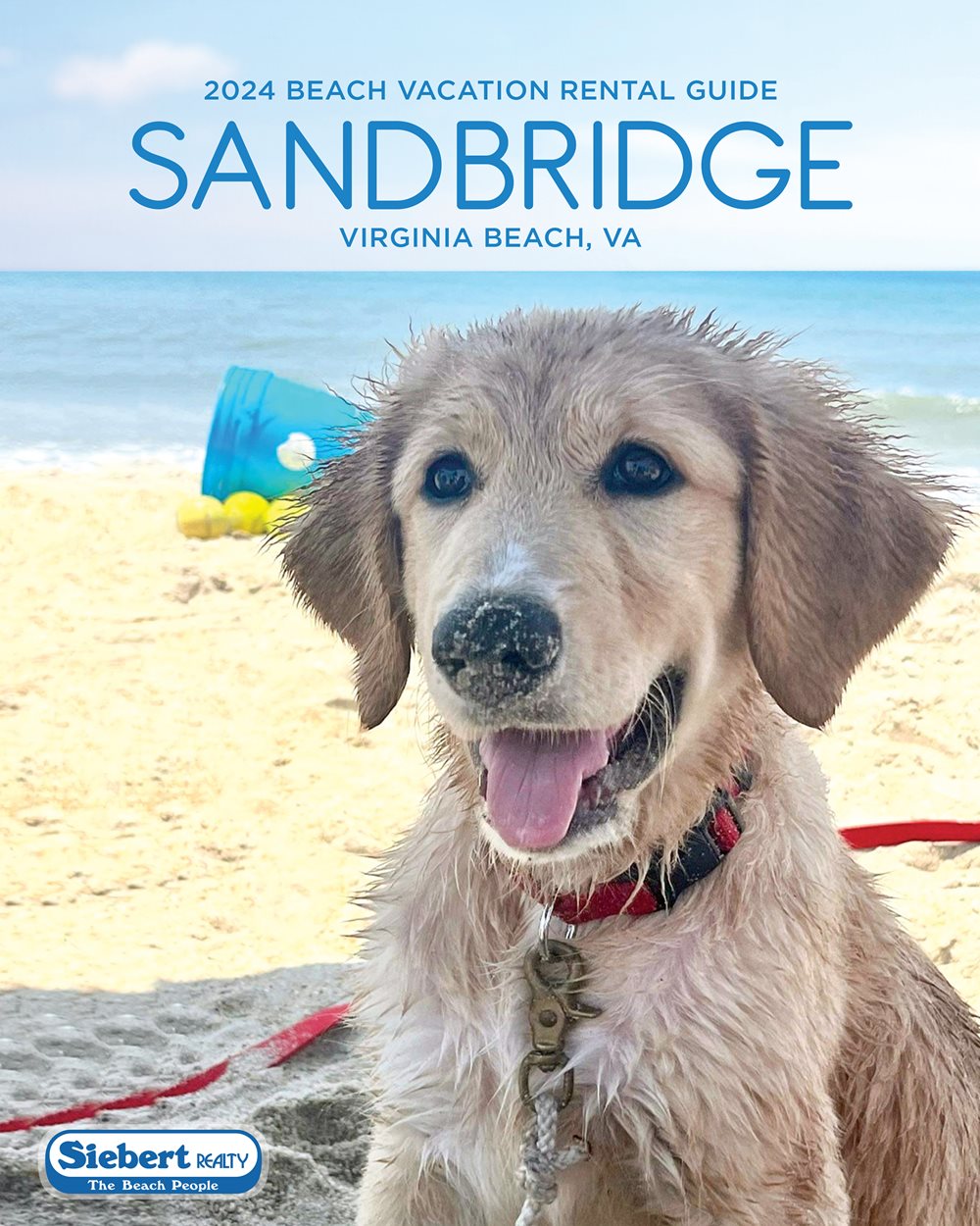 Sandbridge Beach Brochure