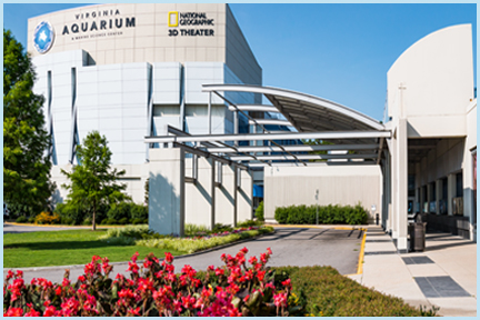 Virginia Beach Aquarium