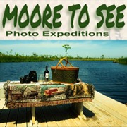 Moore To See Photo Expeditions