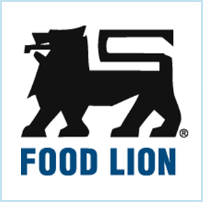 Food Lion Grocery Store