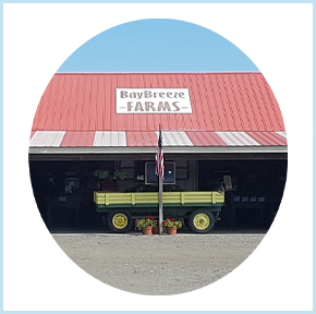 BayBreeze Farm Market